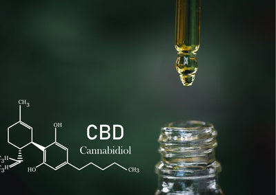 Kan CBD-olie bederven?
