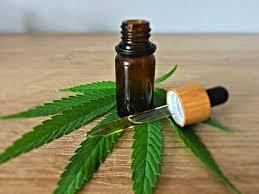 CBD olie met Hennepzaadolie of MCT-olie? - Prohemp.nl