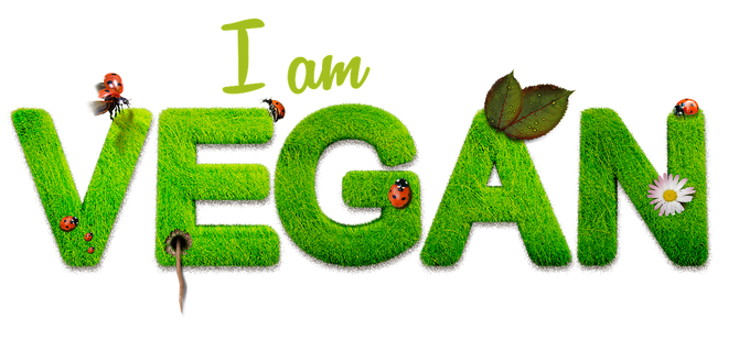 vegan supplementen kopen