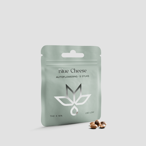 Blue Cheese autoflowering cannabis seeds packet with five seeds on white background