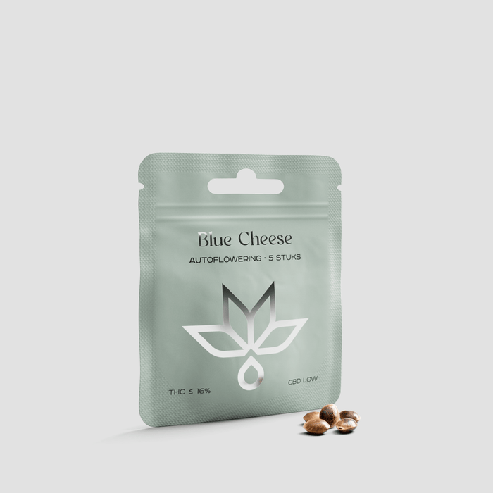 Blue Cheese autoflowering cannabis seeds packet with five seeds on white background